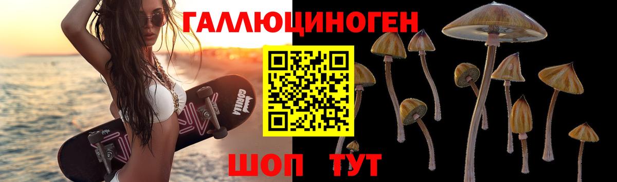 Галлюциногенные грибы Psilocybine cubensis Тихорецк